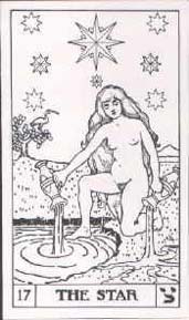 Bota deck